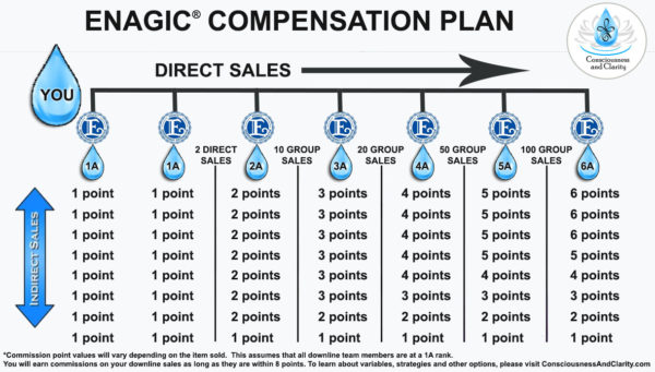 enagic payment system