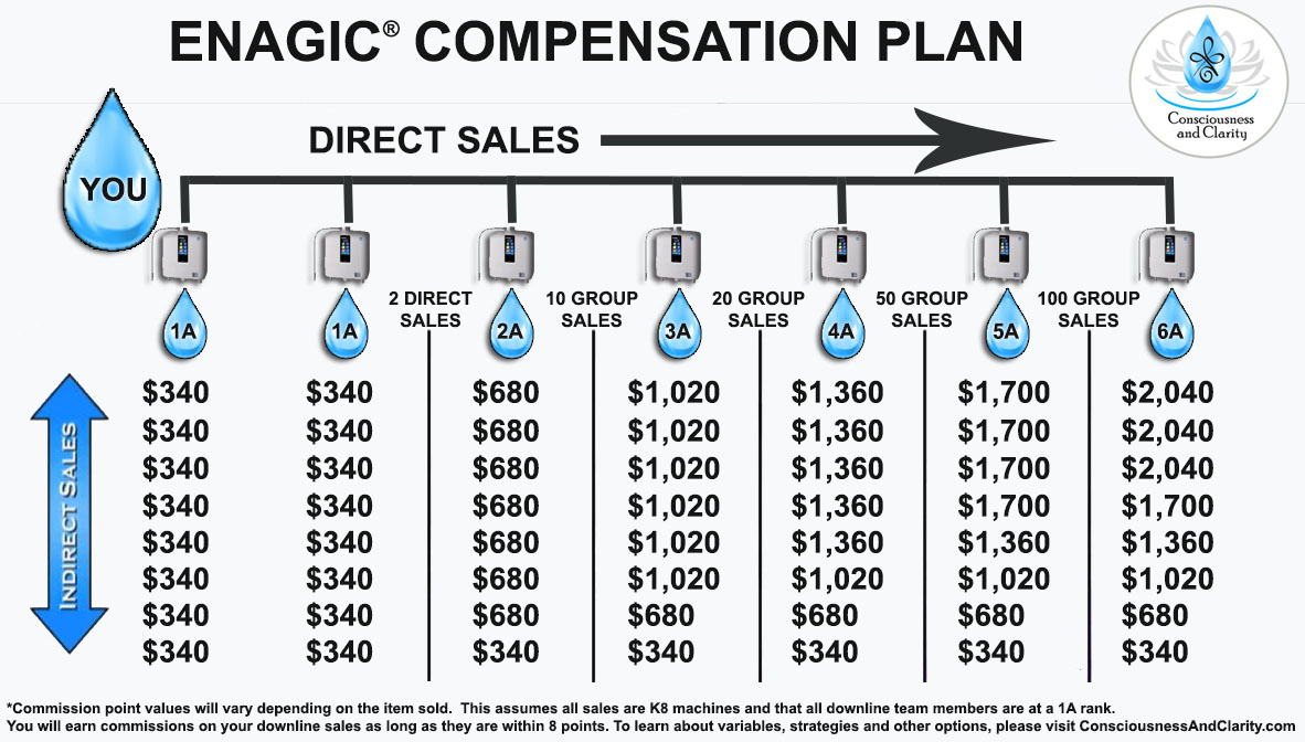 enagic payment system