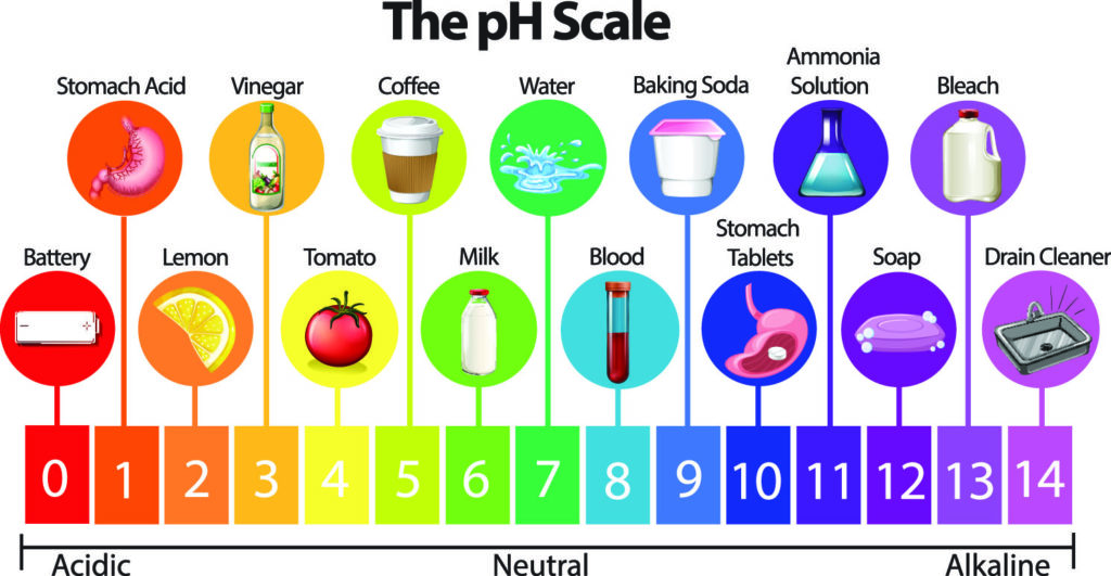 Alkaline water benefits: The pH Scale - Common Items and Their pH