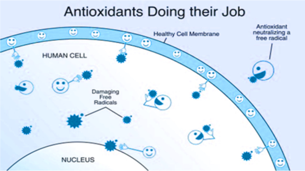 Antioxidants Neutralizing Free Radicals - Ionized Alkaline Water Benefits